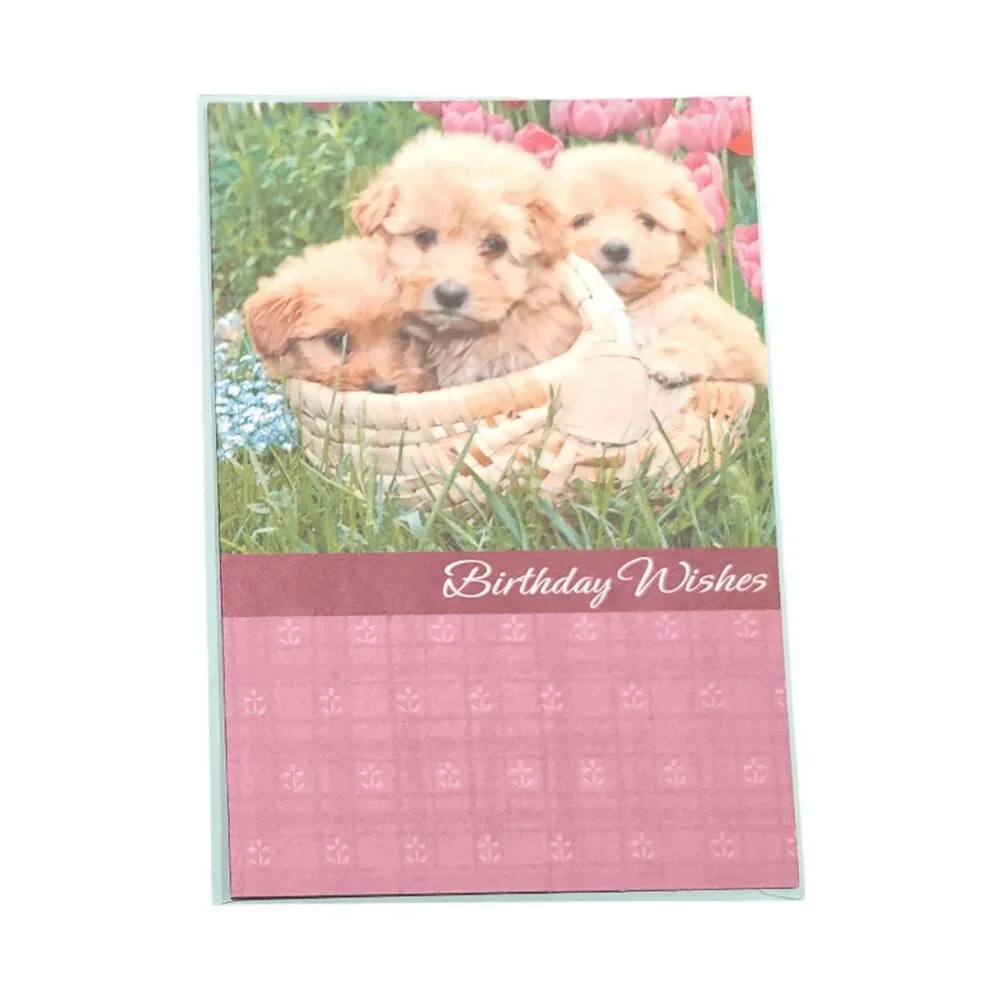 6 Miscellaneous Birthday Cards Greeting Cards